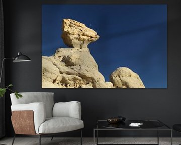 De-na-zin wilderness area, Bisti badlands, New Mexico USA by Frank Fichtmüller