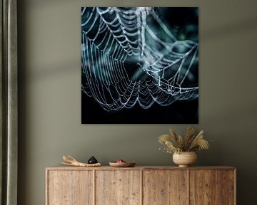 Spinnenweb met dauwdruppels van Anouschka Hendriks