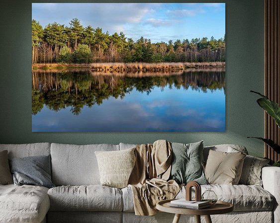 Aperçu de la chambre