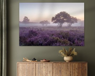 Misty heather in bloom by Tim Vlielander