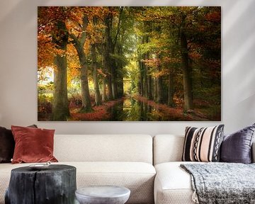 Color Explosion (Nederlands herfst bos) van Kees van Dongen