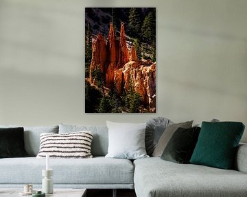 Naturwunder Hoodoos am Bryce Canyon Nationalpark in Utah USA von Dieter Walther