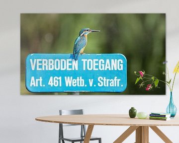 ijsvogel