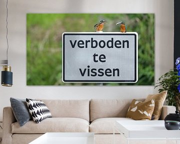 kingfisher by H. Kiewiet