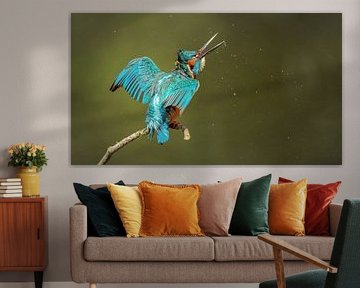 kingfisher by H. Kiewiet