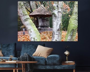 Natur