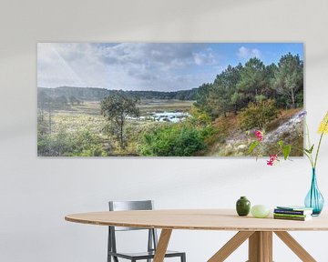 Panorama uitzicht op de Pirola vallei in de Schoorlse Duinen van Cor Brugman