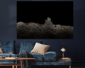 Mystery of the moon? van Lynlabiephotography
