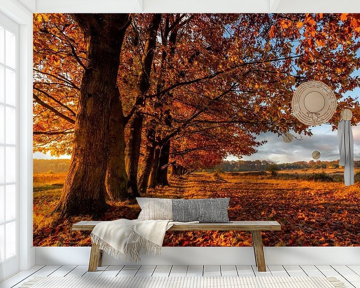 Sfeerimpressie behang: Herfst bij een ondergaande zon... van Jacques Jullens