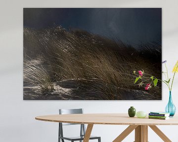Das Geheimnis der Dünen Serie 3 von 4 von Lynlabiephotography