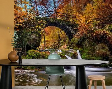 Autumn in the Mullerthal - Shooting Pond by Dieter Meyrl