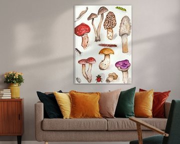 Een aquarel tekening van verschillende paddenstoelen