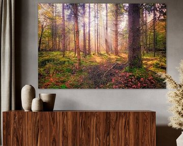 atmospheric image of an autumn forest
