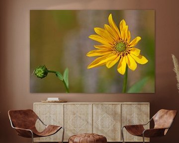 Yellow Jerusalem artichoke flower