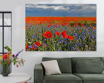 Feld mit blühendem Mohn und Kornblumen von Alexander Ließ