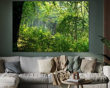 Ochtendzon met lichte mist in het bos van FotoGraaG Hanneke