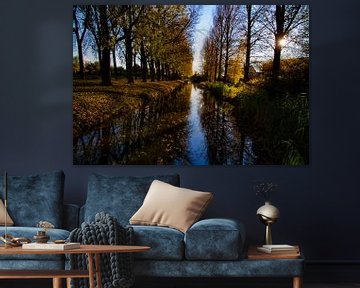 Herfstkleuren in Dordrecht van FotoGraaG Hanneke
