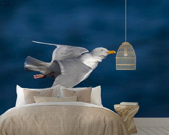 Aperçu de la chambre