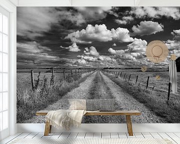 Where to go. by Anne Dijkhoff