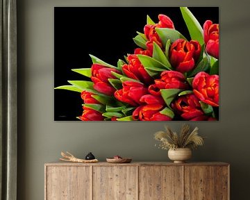 tulipes rouges