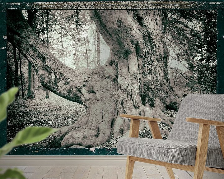 Sfeerimpressie behang: Monumentale boomstam van Erik Reijnders