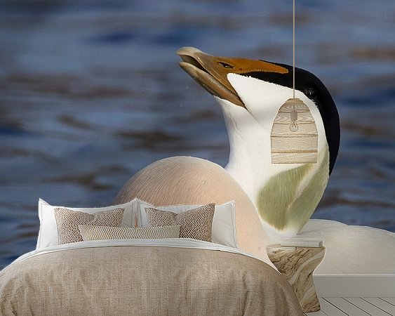 Aperçu de la chambre