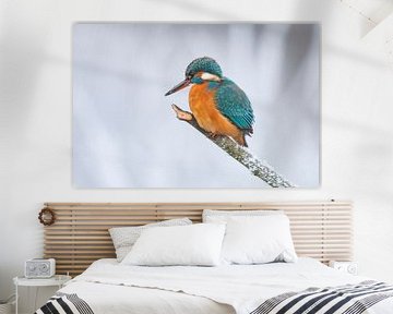 IJsvogel in winter, Alcedo Atthis van Gert Hilbink