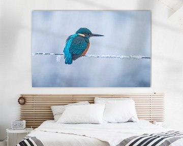 IJsvogel in winter, Alcedo Atthis van Gert Hilbink