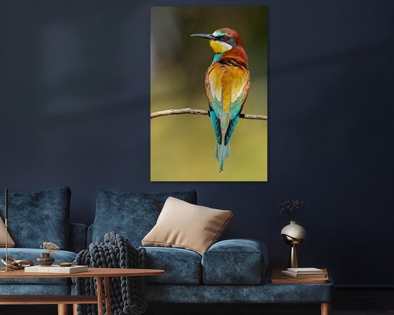 Aperçu de la chambre