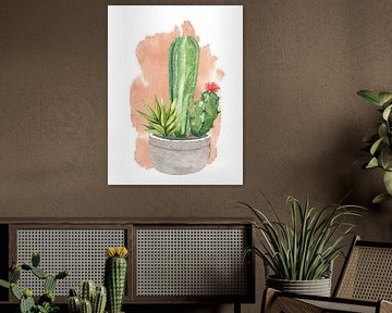 Cactussen in pot