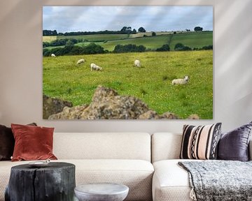 Moutons dans le pâturage d'un paysage anglais vallonné. sur Studio LE-gals