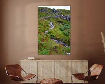 Wasserfall in einem grünen Hügel auf der Isle of Skye, Schottland von Studio LE-gals