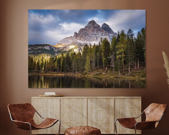 Aperçu de la chambre