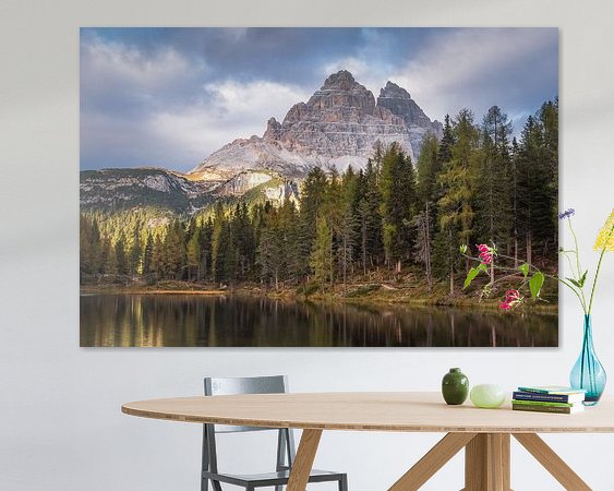 Aperçu de la chambre