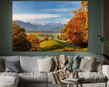 Herbst über Murnauer Moos mit Blick auf Zugspitze von Dieter Meyrl