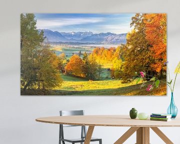 Herbst über Murnauer Moos mit Blick auf Zugspitze von Dieter Meyrl