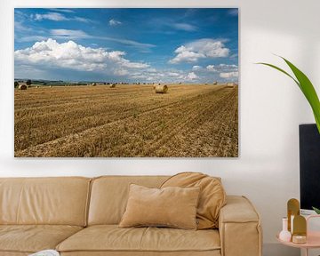 Yellow wheat fields and green surroundings on rural farmland in van Werner Lerooy