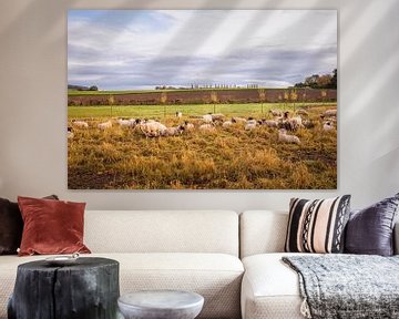 Schafe in der kleinen Toskana von Rob Boon