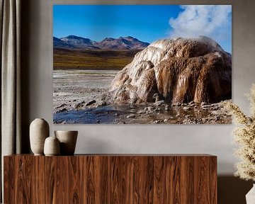 Paysage avec les geysers d'El Tatio dans les Andes, au Chili, en Amérique du Sud. sur WorldWidePhotoWeb