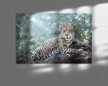 Jaguar dans la forêt tropicale sur Fotojeanique .