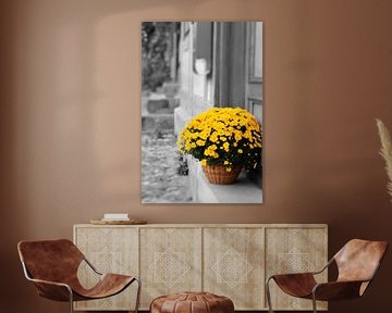 blooming flowers in a basket as decoration in front of a house entrance by Heiko Kueverling