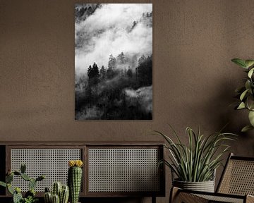 Donker bos met mist - Zwart/wit fotografie | Canada natuur van Marit Hilarius