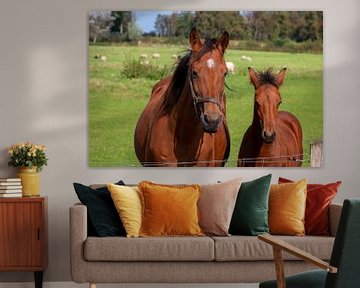 Horses in the pasture of the horse farmer by Henk Hulshof