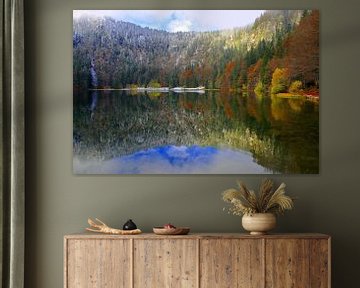 Field lake Black Forest by Patrick Lohmüller