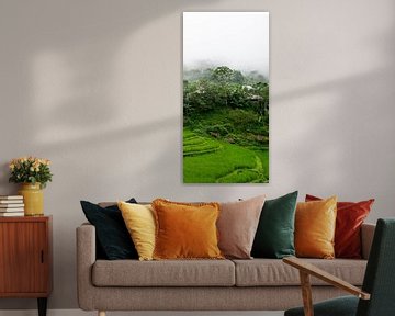 Mountain village with rice fields in Pu Luong (part 3 triptych) by Ellis Peeters