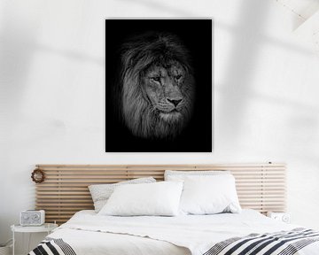 Leeuwen portret: Stoere leeuw in zwart wit van Marjolein van Middelkoop