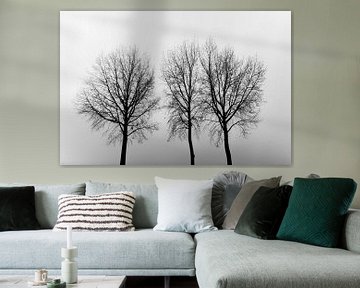 Bomen in zwart wit
