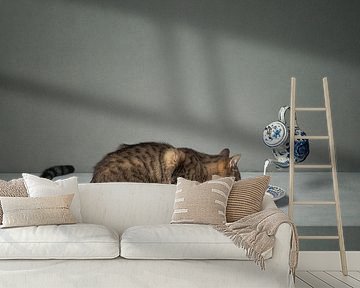 Series Cat behaviour - Dutch milk - (Landscape) by Mariska Vereijken