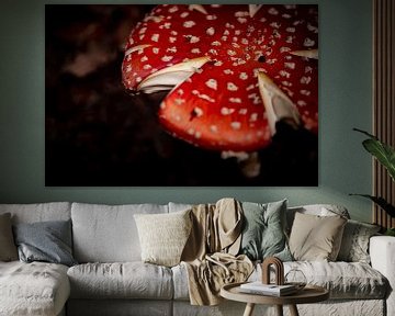 Grote paddenstoel rood met witte stippen van Callista de Sterke