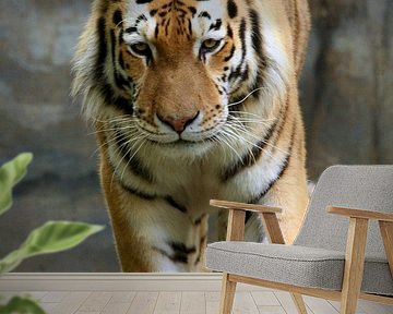 he comes closer by Marcel Schauer